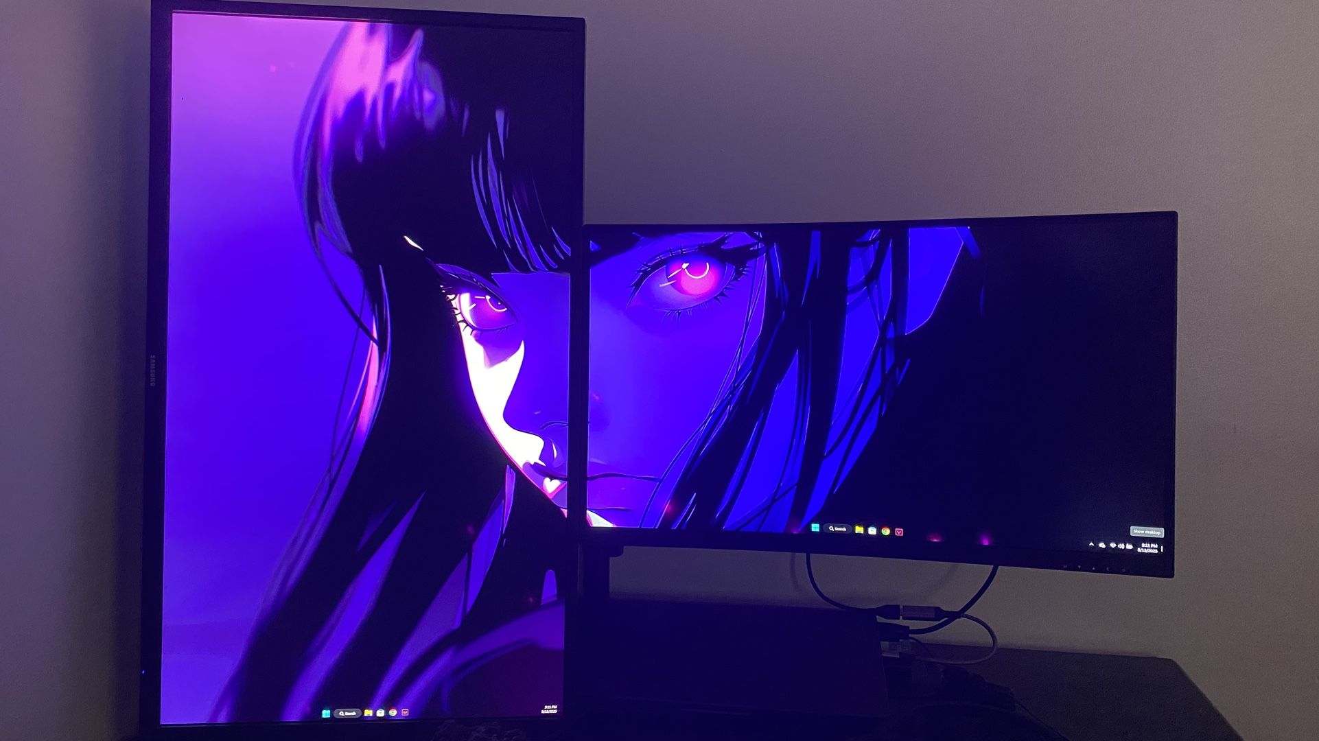 Monitor (both monitors duel Monitor Stand