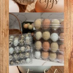 Fertile Eggs For Sale 