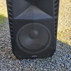 Ion Speaker 