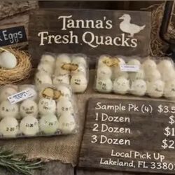 Collected Daily • Fresh & Local