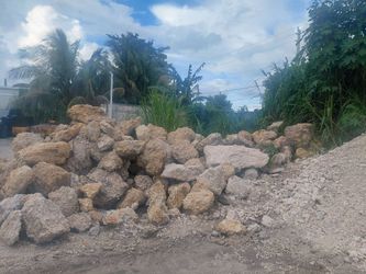 Coral rocks