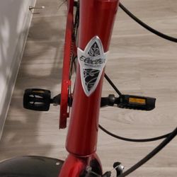 Mens E.ectra (Townie) Bike
