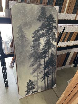 Framed Forest Canvas Wall Art