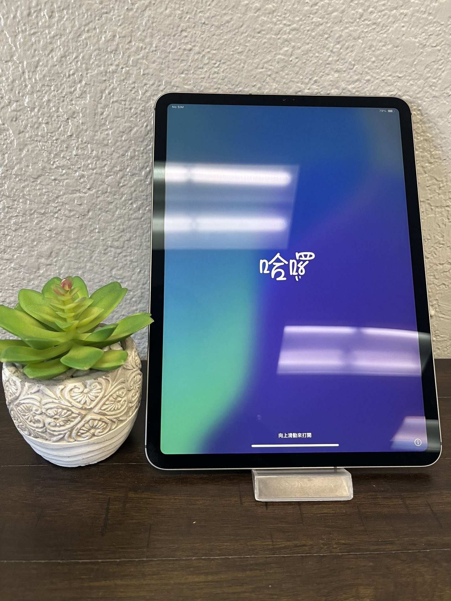 iPad Pro 11” 2nd Generation Cellular 256GB - Black