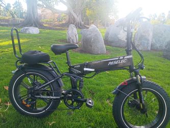 Adult electric bike