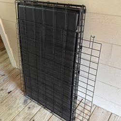Dog Cage w/ Divider 