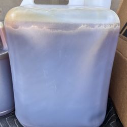 Local Georgia Raw Honey - 5 Gallons 