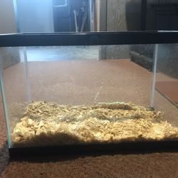 Aquarium/reptile Supplies