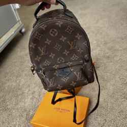 Louis Vuitton Small Backpack