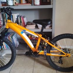 Youth Bicycle 