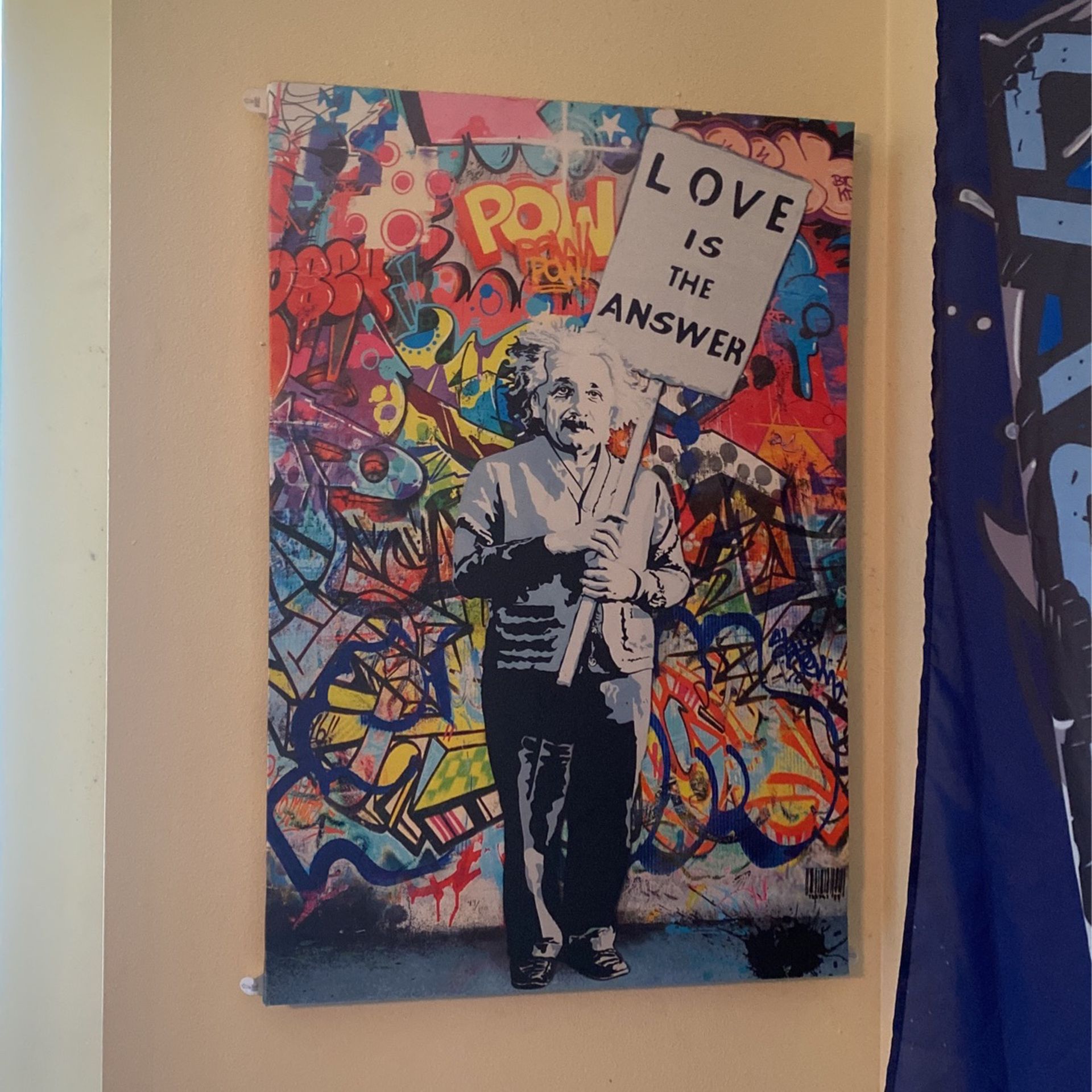 Albert Einstein Graffiti Decoration