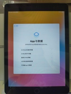  Apple 10.2 inch shil