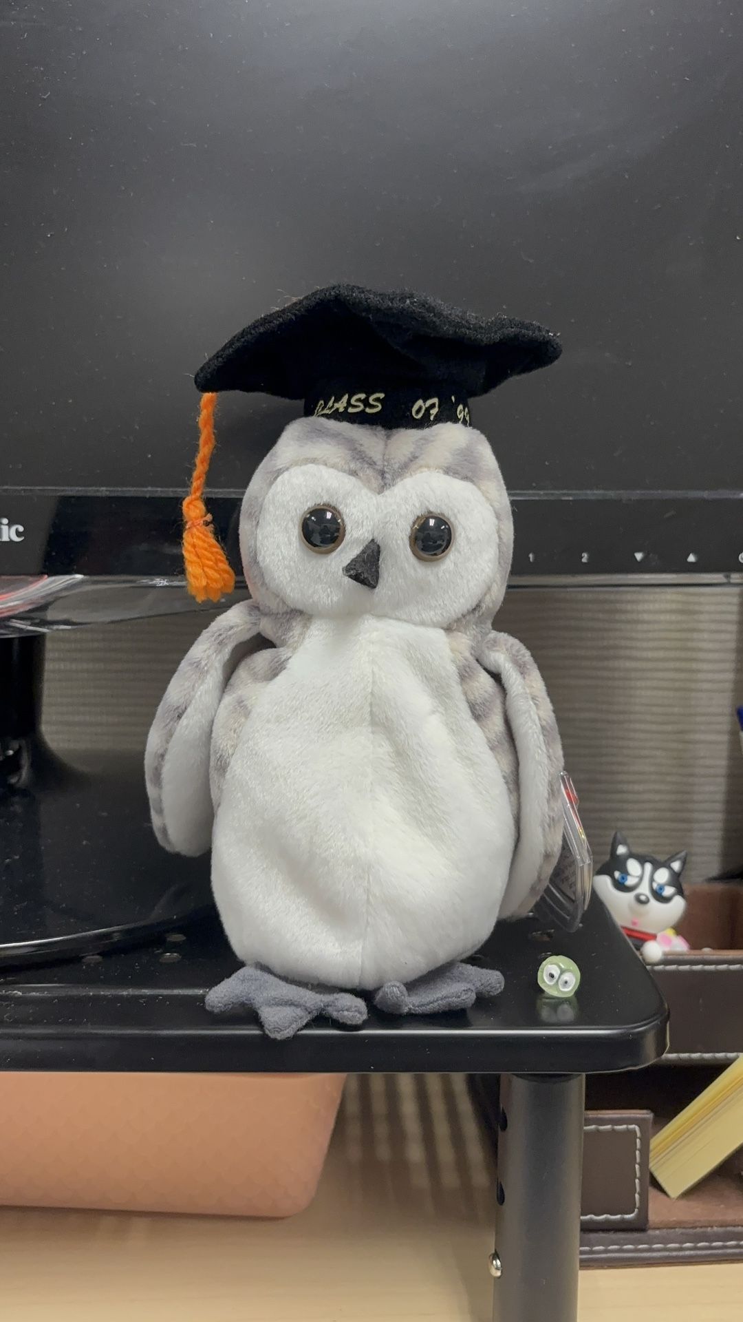 Wiser - Beanie Babies