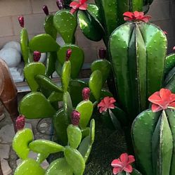 Metal  Cactus Agave, And Some Succulents and more