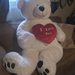 Big Teddy Bear 