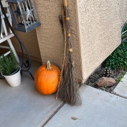 Branch Cinnamon Broom 