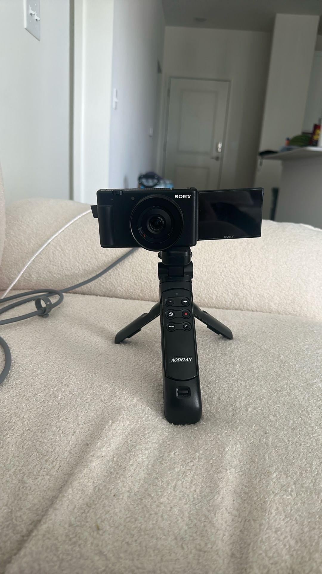 Sony Zv 1f