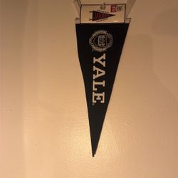 Yale School pride flag 12”