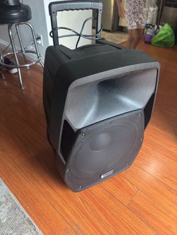 🔊 AlienPro Omega AO-1500 – 15” Bluetooth Party Speaker