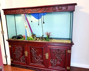 African Rosewood Carved Aquarium Set 167cm — Like New