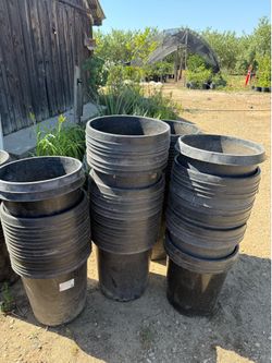15 Gallons pots $5 each / Macetas de 15 galones $5