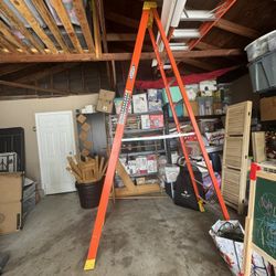 10ft Ladder 
