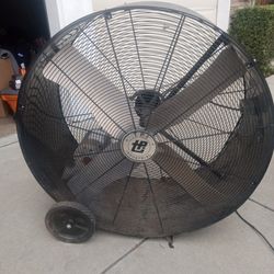 Large Fan