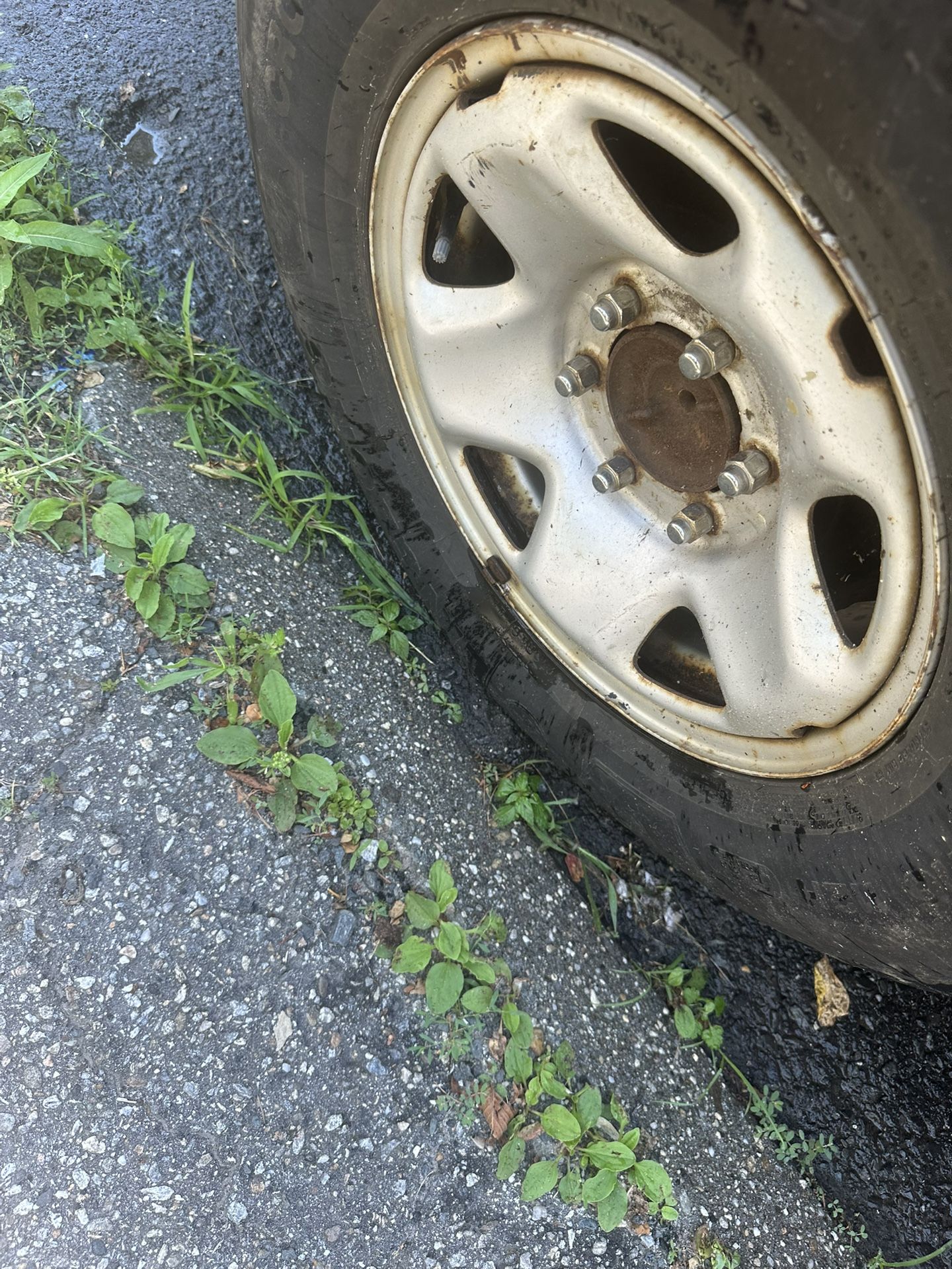 4 Toyota Tacoma Steel Rim