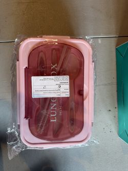 Fengshi plastic bento box - Pink