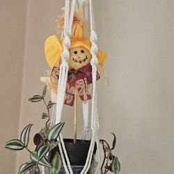 Hanging Plants $10