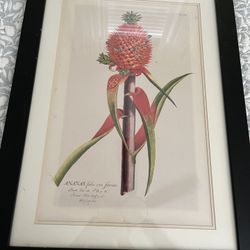 Black Framed Picture