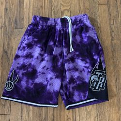 Men's Mitchell & Ness Toronto Raptors Hardwood Classics 1998 Galaxy Swingman Shorts