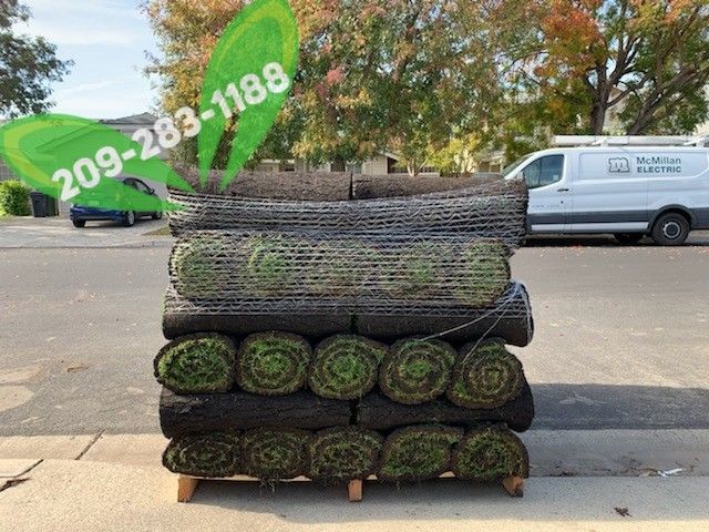 Best QUALITY Sod