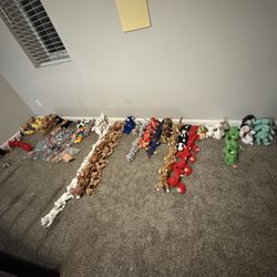 Large Beanie Baby TY Lot