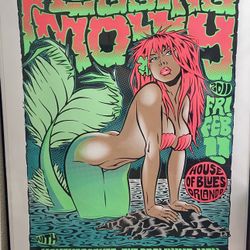 Flogging Molly 2011 Concert Poster by Stainboy