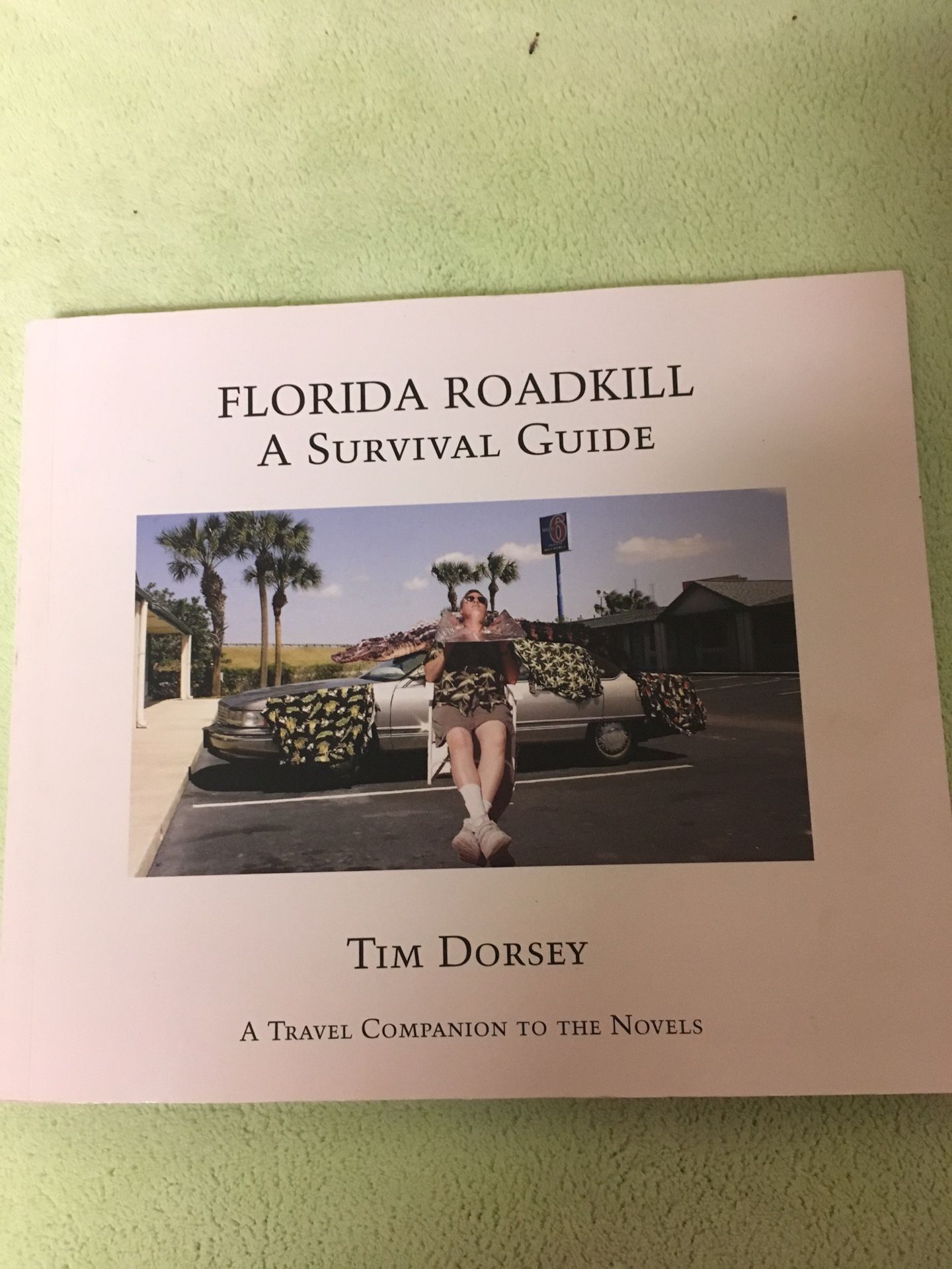 Florida roadkill a survival guide