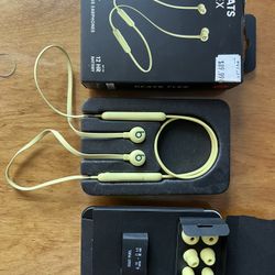 Beats Flex Wireless Earphones