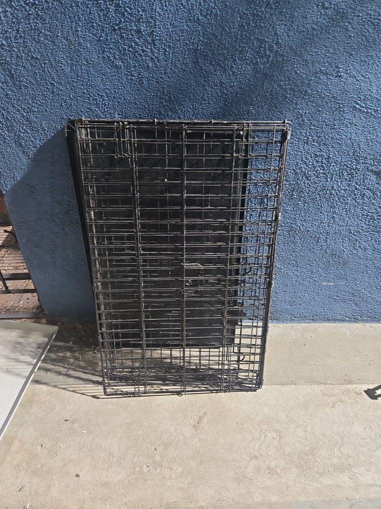 Big Dog Cage