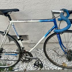 Panasonic 56cm Road Bike 