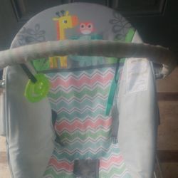 Baby Bouncer