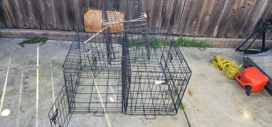 Pet Crates Small Medium And Large