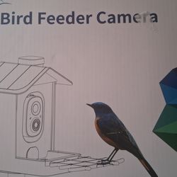 Bird feed camera