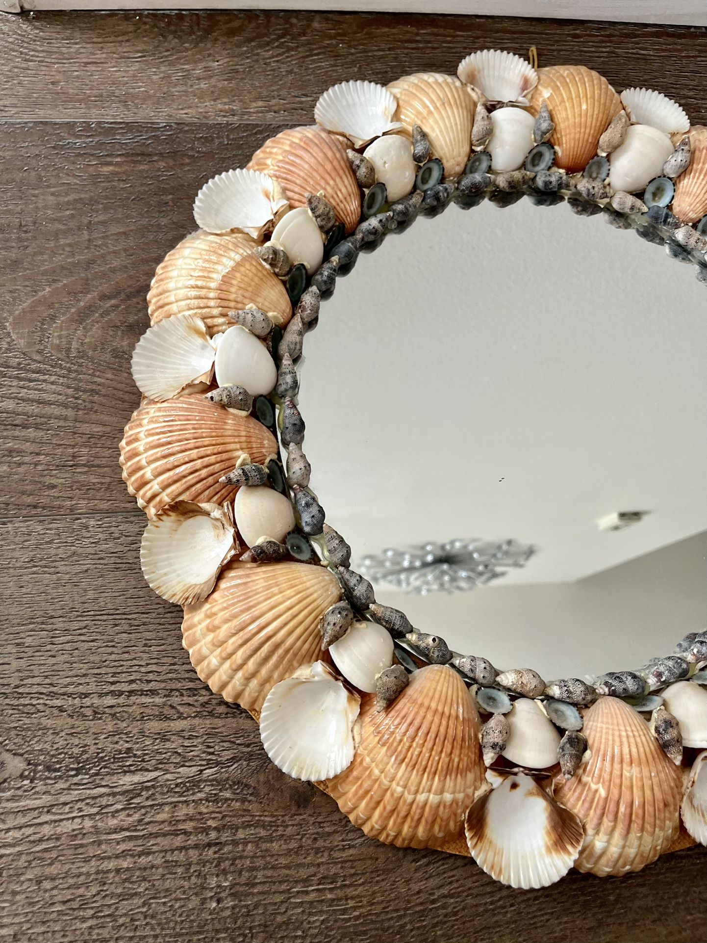 Vintage Sea Shell Wall Mirror Mid Century Modern Nautical Decor D