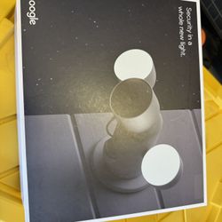 Nest Cam Google W/Floodlight