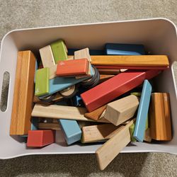 Tegu magnetic wooden blocks (2 sets)