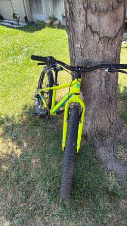 24” Haro Flight Line