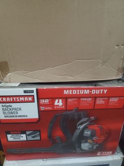 Craftsmam blower 4 cycle