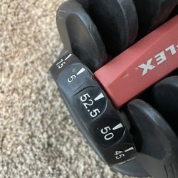 Bowflex Dumbbells