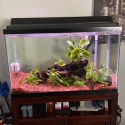 Planted Aquarium , Light For Plants and Stand.