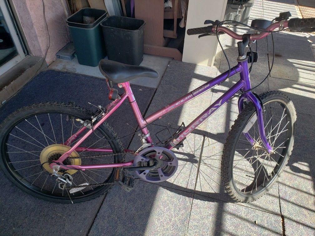 Girls 24 " Murray Bike